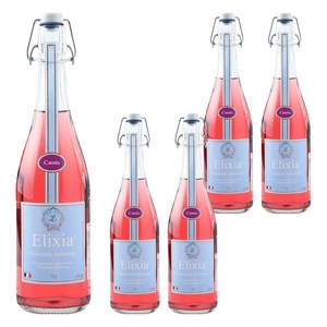엘릭시아 블랙커런트맛 탄산음료, 750ml, 5개