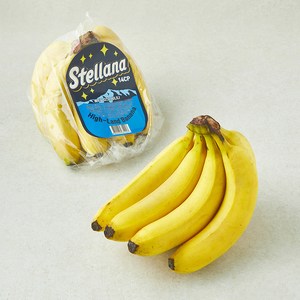 베트남산 스텔라나 고산지 바나나, 800g, 1개