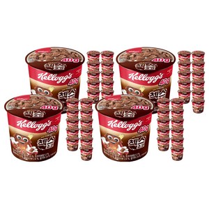 첵스초코 오곡 컵 시리얼, 40g, 48개