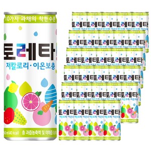 토레타 이온음료, 240ml, 90개