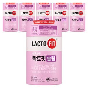 락토핏 슬림 60p, 120g, 6개