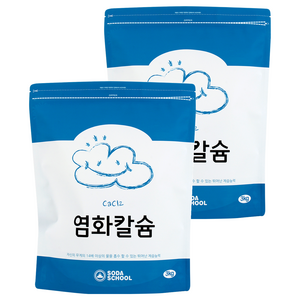 소다스쿨 염화칼슘 리필, 3kg, 2개