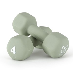 아리프 네오프렌 선인장 아령