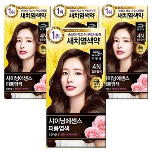 미쟝센 샤이닝 에센스 새치전용 염색제, 4N 짙은갈색, 4개