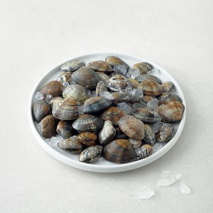 직접 손으로 채취한 서해안 갯벌 참 바지락, 1kg, 1개