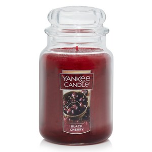 양키캔들 클래식