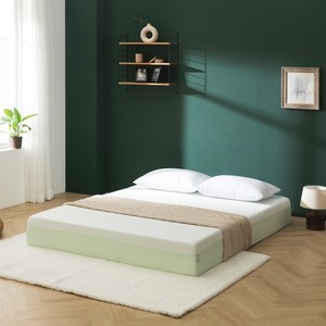 지누스 라돈테스트 기준충족 그린티 플러스 메모리폼 매트리스