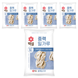 백설 중력 밀가루, 3kg, 5개