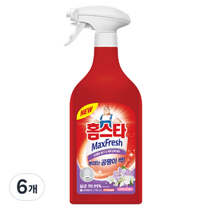 홈스타 맥스프레쉬 뿌리는 곰팡이 싹 세정제, 750ml, 6개