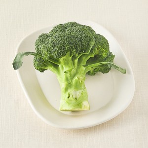 친환경 제주 브로콜리