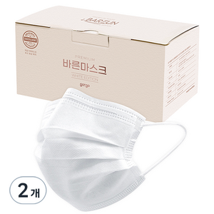 고르고 바른 마스크 성인용 대형