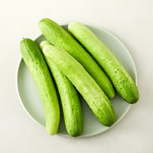 천안 아우내 오이