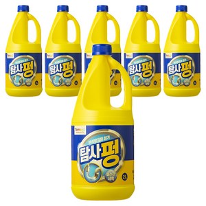 탐사 펑 배수구 세정제, 2L, 6개