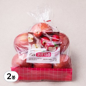 곰곰 농협 문경사과, 1.5kg(중과), 2봉