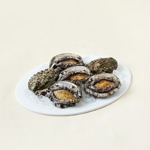 완도맘 산지직송 활전복 왕왕특대 6마리 1kg + 솔 랜덤발송 세트