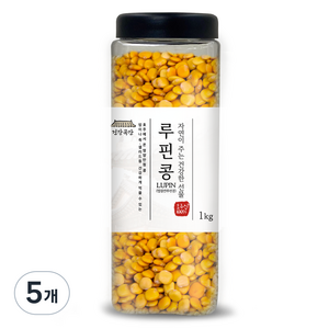 건강곡간 루핀콩, 1kg, 5개