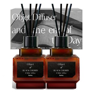 헤트라스 오브제 디퓨저