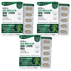 유한메디카 징코 플러스 엔 탑 혈행 기억력 케어, 60정, 3개