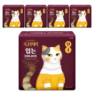시크릿데이 하트 입는 오버나이트 팬티