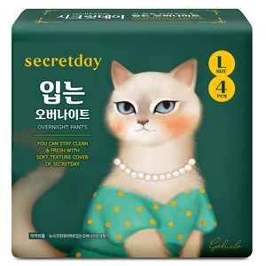 시크릿데이 입는 오버나이트 팬티형