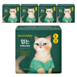 시크릿데이 입는 오버나이트 팬티형