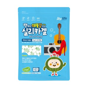 쨍하고해뜰집 실리카겔 액티브다용도 습기제거제 종이 5g x 20p, 100g, 1개