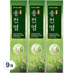 메디안 송천염 치약, 120g, 9개