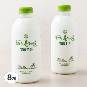 제주 올레길 명품 우유, 900ml, 8개