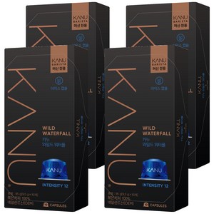 카누 바리스타 머신 전용 캡슐커피 와일드워터폴, 9.5g, 10개입, 4개