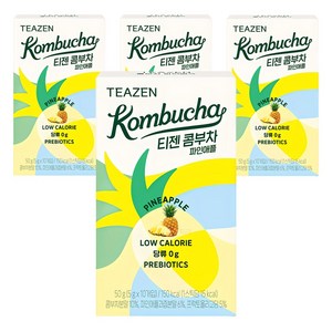 티젠 파인애플 콤부차