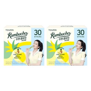 티젠 파인애플 콤부차