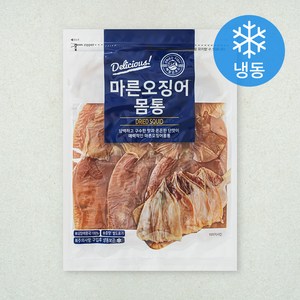해맑은푸드 마른오징어 몸통 5미 (냉동), 200g, 1개