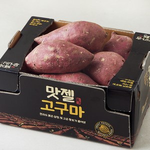 맛젤 해남 호박고구마