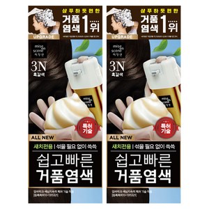 미쟝센 올 뉴 쉽고 빠른 거품 염모제, 3N흑갈색, 2개