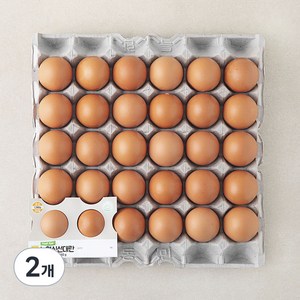 신선 대란 1560g, 30구, 2개