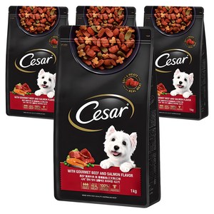 시저 어덜트 강아지 건식사료, 소, 1kg, 4개