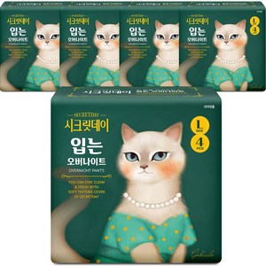 시크릿데이 입는 오버나이트 생리대, 팬티형, 4개입, 5개