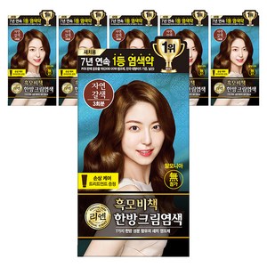 리엔 흑모비책 한방 크림 새치 염색제, 자연갈색, 6개