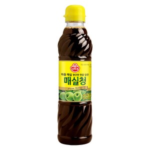 오뚜기 매실청, 1.19kg, 1개