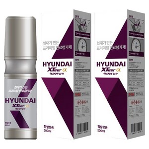엑스티어 알파 자동차용 연료첨가제 휘발유 500ml, 가솔린/휘발유, 2개