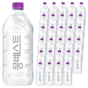 몽베스트 위드어스 무라벨 생수, 1L, 36개