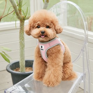 베니즈 베이직 하네스, 라이트핑크, XL, 1개