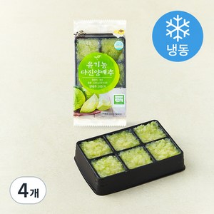 유기가공식품 인증 웰팜넷 유기농 다진양배추 (냉동), 100g, 4개