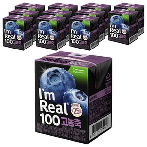 아임리얼 100 고농축 블루베리, 120ml, 12개