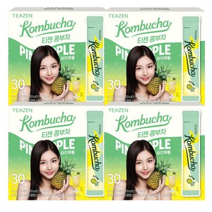 티젠 파인애플 콤부차