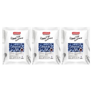 안드로스 블루베리 리플잼, 1kg, 3개