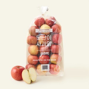 셀렉트팜 못난이 사과얌 yam 16~20입 내 소과, 3kg, 1개