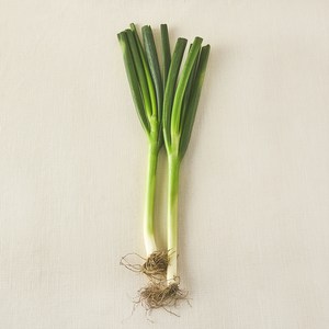 국내산 무농약 대파, 300g, 1개