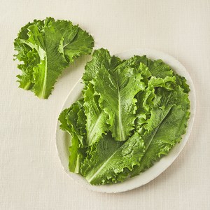 국내산 친환경 청상추, 200g, 1봉