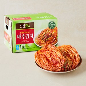 신선애 배추김치, 5kg, 1개